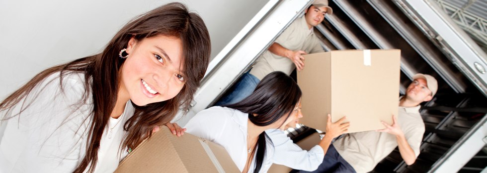 Professional Removalists Wedgecarrup